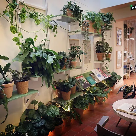 Szálloda French Theory 3*